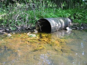 Algae Blooms and Nonpoint Source Pollution